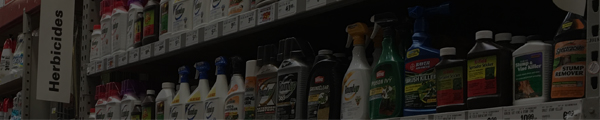 ¿Qué son los pesticidas?